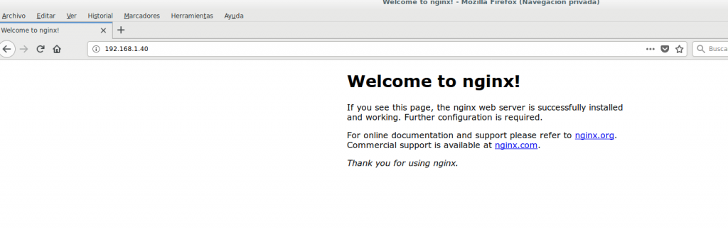 Nginx freeBSD modsecurity 02