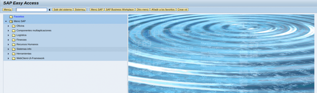 Guía básica para pentesting de un entorno SAP
